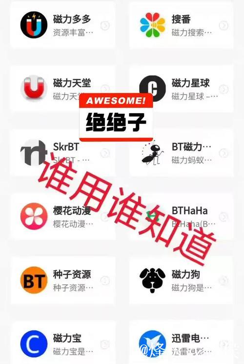 全面解析：寻找BT磁力种子神器的终极技巧